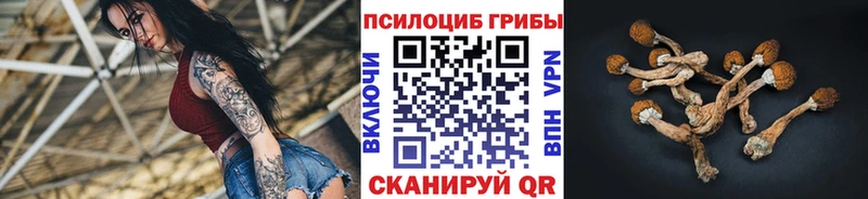 Псилоцибиновые грибы прущие грибы  Купить  Княгинино 